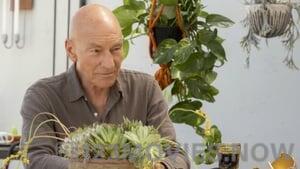 Star Trek: Picard Season 1 Episode 3