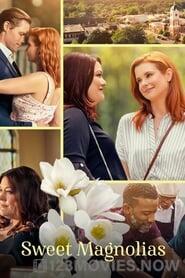 Sweet Magnolias Season 2 Episode 8