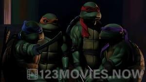 Teenage Mutant Ninja Turtles