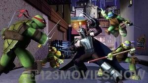 Teenage Mutant Ninja Turtles