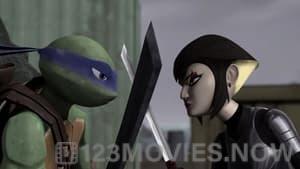 Teenage Mutant Ninja Turtles Season 1 Episode 20