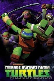 Teenage Mutant Ninja Turtles Season 1 Episode 20