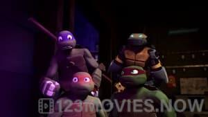 Teenage Mutant Ninja Turtles Season 2 Episode 11