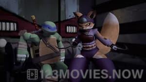 Teenage Mutant Ninja Turtles Season 4 Episode 24