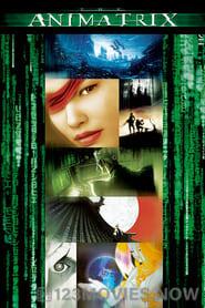 The Animatrix