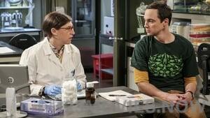 The Big Bang Theory Season 10 Episode 8