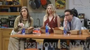 The Big Bang Theory Season 10 Episode 9