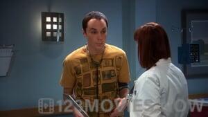 The Big Bang Theory Season 2 Episode 10