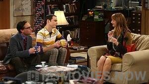 The Big Bang Theory Season 3 Episode 21