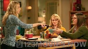 The Big Bang Theory Season 4 Episode 19