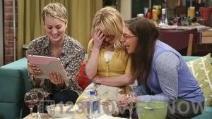 The Big Bang Theory Season 8 Episode 14