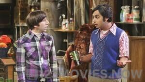 The Big Bang Theory Season 8 Episode 19