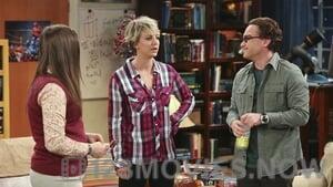 The Big Bang Theory Season 8 Episode 19