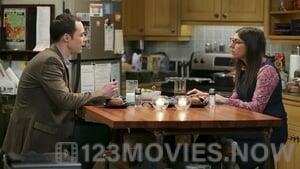 The Big Bang Theory Season 8 Episode 20