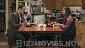 The Big Bang Theory Season 8 Episode 20