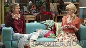 The Big Bang Theory Season 8 Episode 21