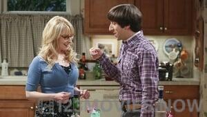 The Big Bang Theory Season 8 Episode 21