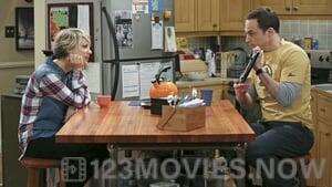 The Big Bang Theory Season 8 Episode 21