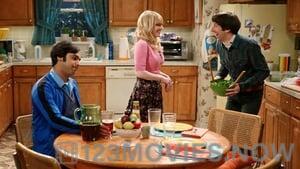 The Big Bang Theory Season 8 Episode 24