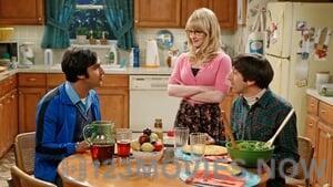 The Big Bang Theory Season 8 Episode 24