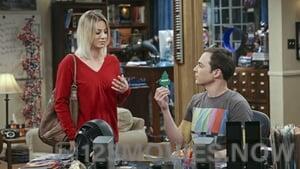 The Big Bang Theory Season 9 Episode 20