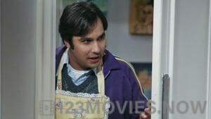 The Big Bang Theory Season 9 Episode 20