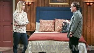 The Big Bang Theory Season 9 Episode 20