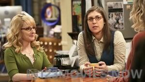 The Big Bang Theory Season 9 Episode 24