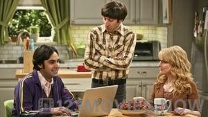 The Big Bang Theory Season 9 Episode 24