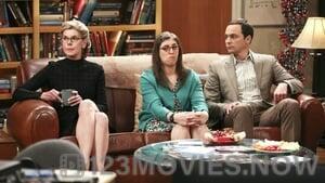 The Big Bang Theory Season 9 Episode 24