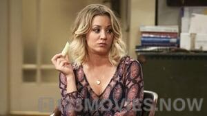 The Big Bang Theory Season 9 Episode 24