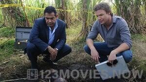 The Glades Season 1 Episode 4