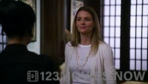 The Good Wife Season 2 Episode 13