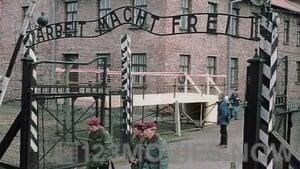 The Guard of Auschwitz