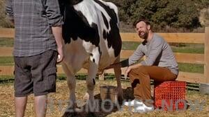 The Last Man on Earth Season 2 Episode 17