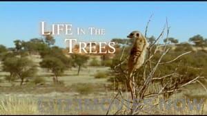 The Life of Mammals Season 1 Episode 8