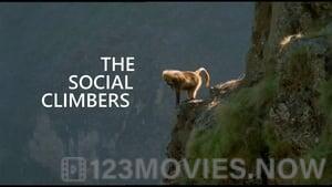 The Life of Mammals Season 1 Episode 9