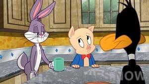 The Looney Tunes Show Season 1 Episode 10