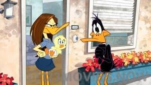 The Looney Tunes Show Season 1 Episode 16