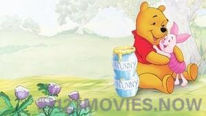 The Many Adventures of Winnie the Pooh