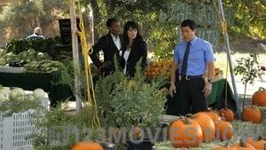 The Mentalist Season 3 Episode 8