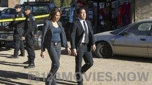 The Mentalist Season 6 Episode 13