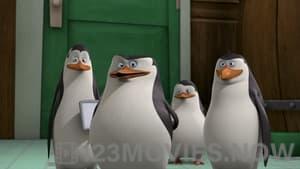 The Penguins of Madagascar Season 1 Episode 16