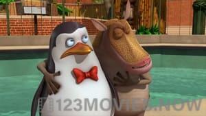 The Penguins of Madagascar Season 2 Episode 10