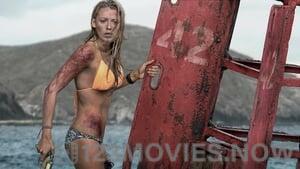 The Shallows