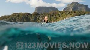 The Shallows