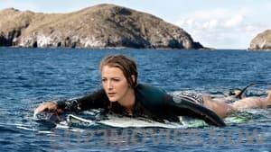 The Shallows