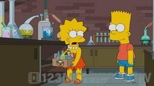 The Simpsons Season 28 Episode 5