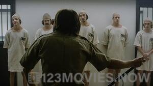 The Stanford Prison Experiment