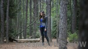 The Vampire Diaries Season 4 Episode 22